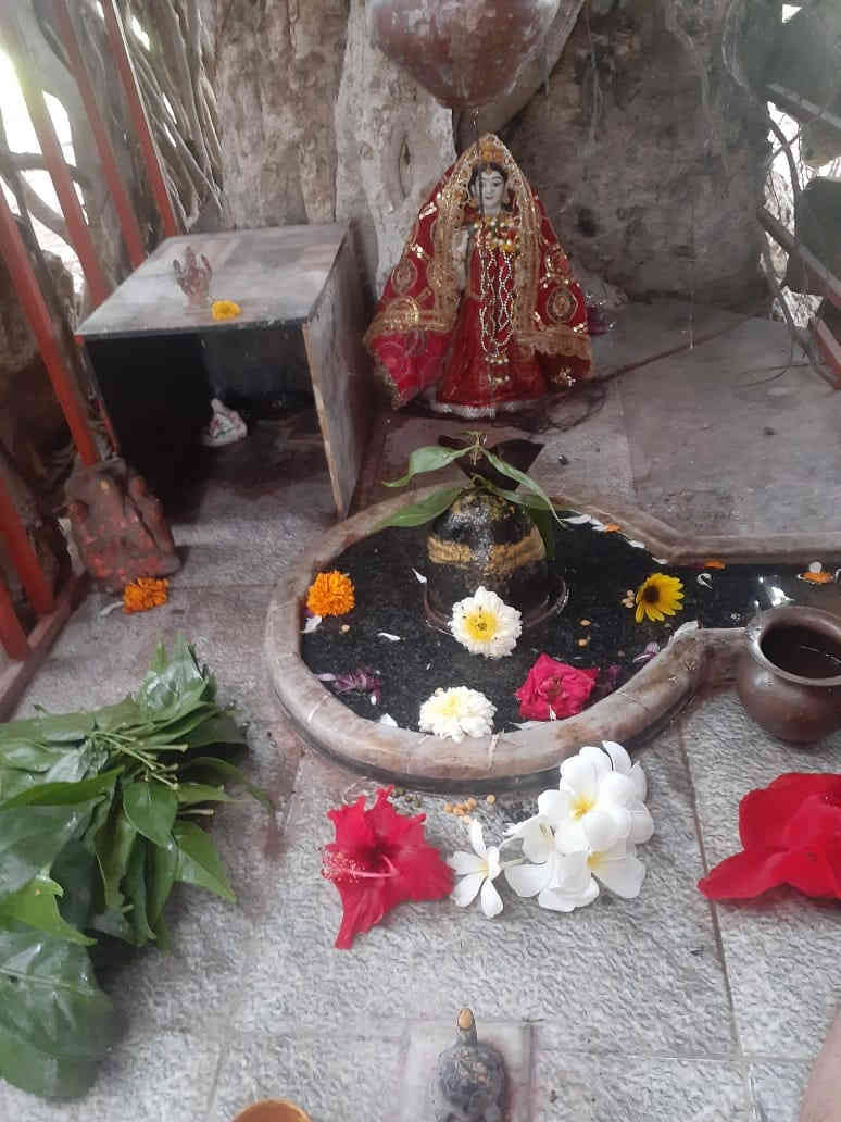 વડલાની વચ્ચે બિરાજમાન વડલેશ્વર મહાદેવ મંદિર