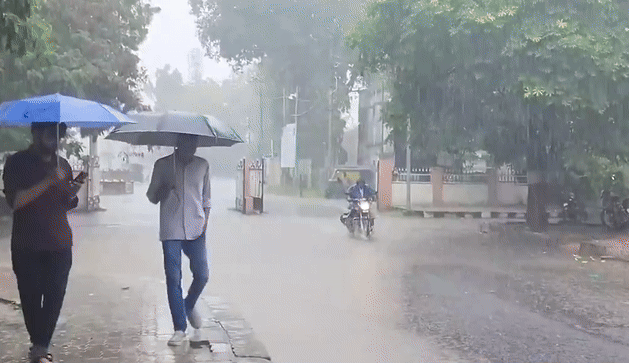 Gujarat rain: સુરત-જૂનાગઢમાં મેઘરાજાની તોફાની બેટિંગ, 6 કલાકમાં 4 ઇંચથી વધુ વરસાદ