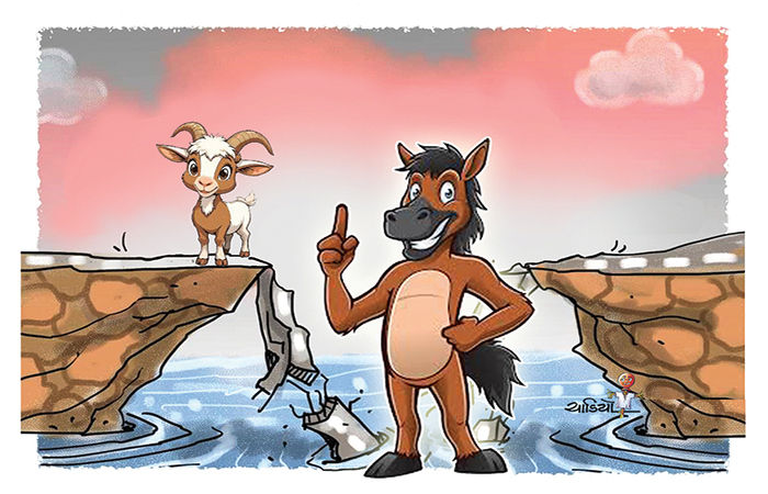 સાચા સહયાત્રીઓ                                                .