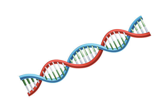 સ્તન કેન્સર અને DNA                            .