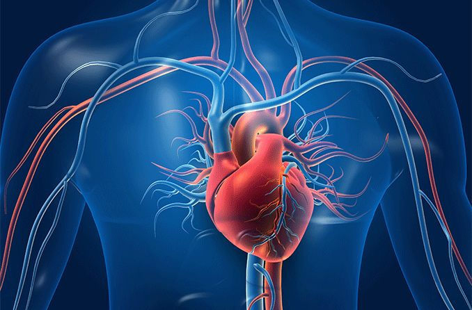 Gujarat issues new guidelines for heart-related treatments after Khyati hospital scam