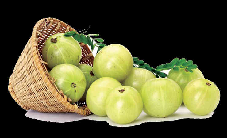 બંધકોશના અમોઘ આયુર્વેદિક ઔષધો