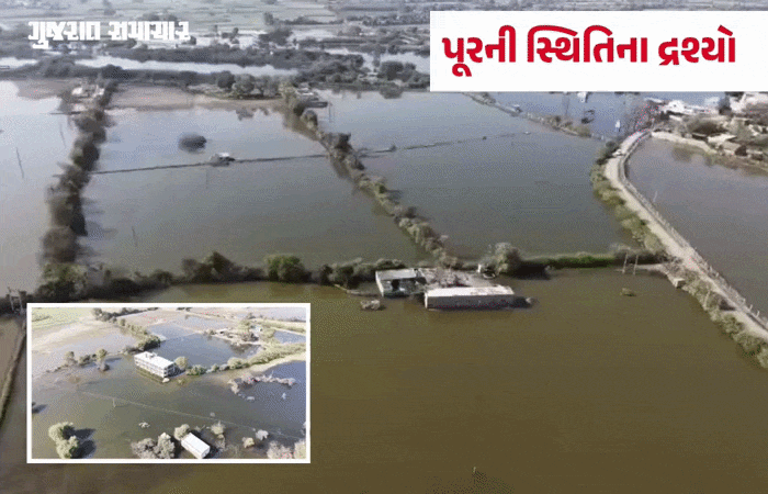 VIDEO | વાવ-થરાદ:  પૂરના 8 મહિના બાદ પણ લેડાઉ ગામ જળમગ્ન, અન્યાયનો જવાબ ચૂંટણીમાં આપવાની ગ્રામજનોની ચીમકી