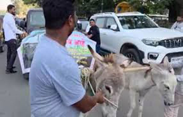 કાર બગડતાં 2  ગધેડા પાસે ખેંચાવી શો રુમ લઈ જવાઈ