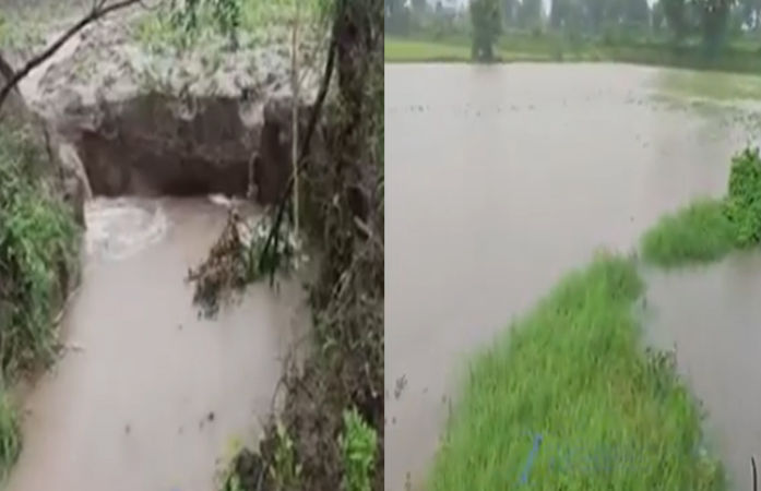 VIDEO: બનાસકાંઠાના માલોત્રા ગામનું તળાવ તૂટતા ખેતરોમાં પાણી ફરી વળ્યા, સ્કૂલ પણ જળમગ્ન, ખેડૂતો નિરાશ