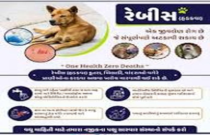 માત્ર શ્વાન નહીં, બિલાડી, ભૂંડ, વાંદરાં જેવા પ્રાણીઓની લાળથી પણ હડકવાનું જોખમ