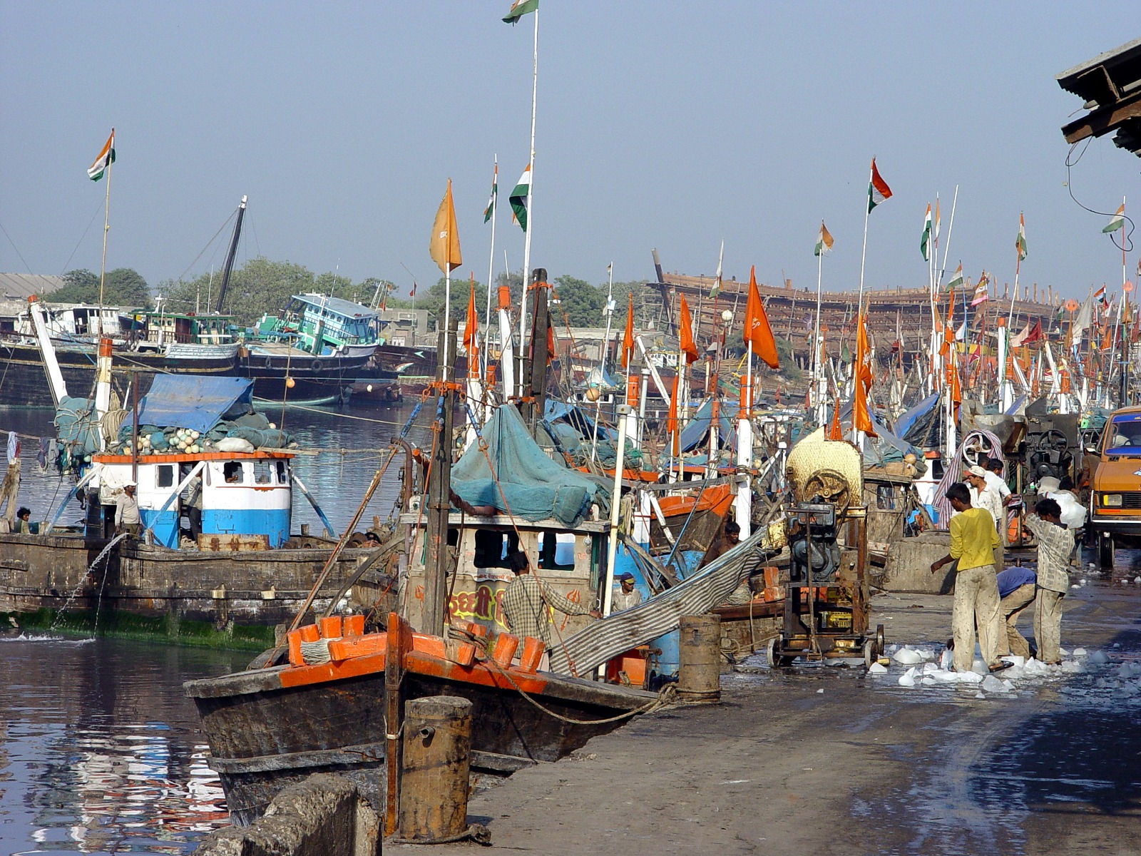 Gujarat ranks 2nd in India in marine fish production