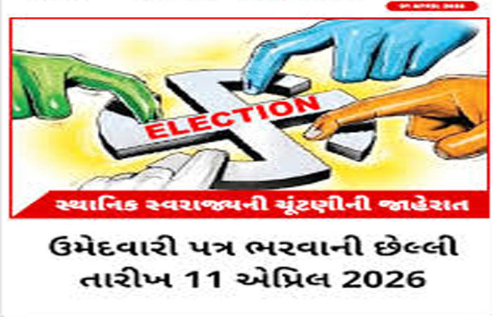 રાજકોટ, મોરબી, જામનગર, પોરબંદર મનપાની 240 બેઠકો માટે 1209 ઉમેદવારો મેદાને