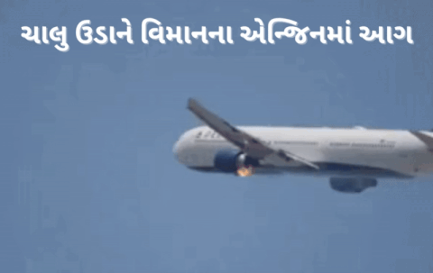 VIDEO : ટેક ઓફ કરતાં જ ભડભડ સળગવા લાગ્યું ડેલ્ટા એરલાઇન્સનું વિમાન, ઈમરજન્સી લેન્ડિંગ