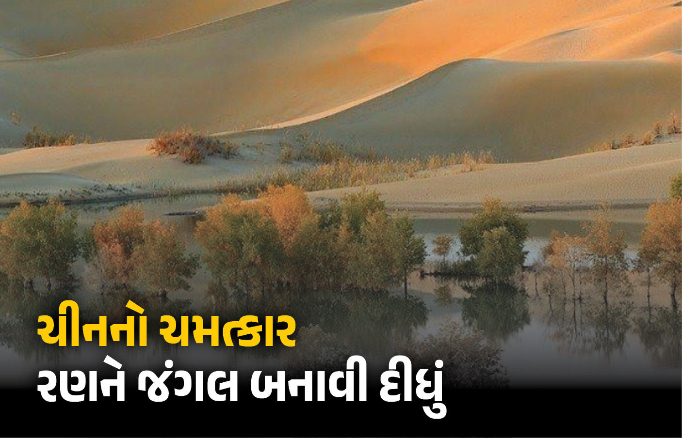 Explainer: 48 વર્ષમાં 66 અબજ વૃક્ષો વાવીને ચીને રણને કરી દીધું લીલુંછમ, ભારત માટે બોધપાઠ