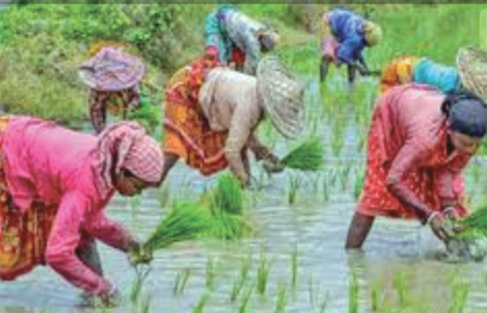 એશિયામાં અલ્પવર્ષા-યુગની શરૂઆત થઈ છે