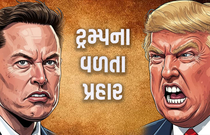 ઈલોન મસ્કની ત્રીજી પાર્ટી પર અકળાયા ડોનાલ્ડ ટ્રમ્પ, કહ્યું - એકદમ બકવાસ, દિશાહિન થઇ ગયો છે