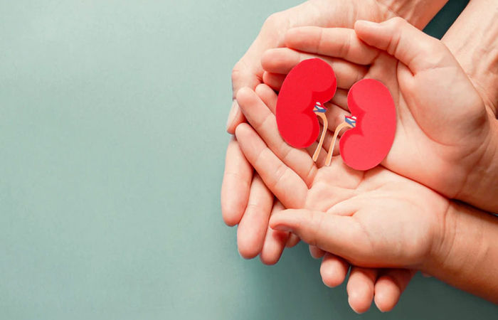 World Kidney Cancer Day 2025: હેલ્ધી કિડની માટે જરુરી છે 5 ફૂડ્સ, કેન્સરથી પણ બચાવશે