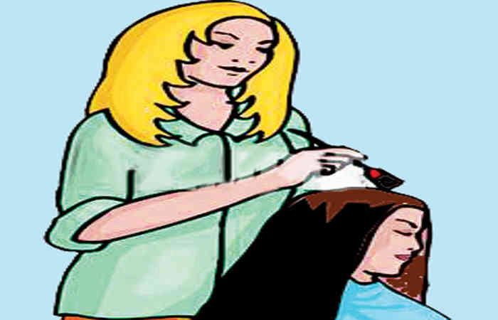 અજમાવી જૂઓ - મીનાક્ષી તિવારી