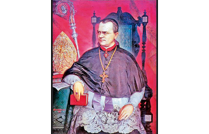 The Pioneer of Genetics Gregor Mendel