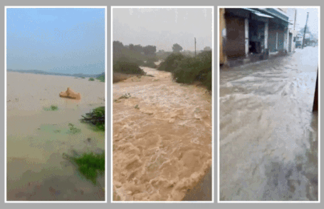 VIDEO: કચ્છમાં મુશળધાર 15 ઇંચ વરસાદ, અનેક રસ્તા અને શાળા-કૉલેજો બંધ, જનજીવન ઠપ