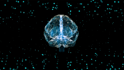 How our brain deals with stress on a micro level