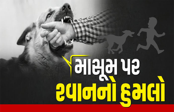 પાલિતાણાના વાળુકડ ગામે રખડતા શ્વાનના હુમલાથી બાળકનું મોત