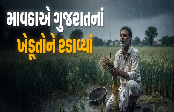 મહુવા પંથકના અસરગ્રસ્ત ખેડૂતોને વળતર ચૂકવવામાં વિલંબ કરાતા રોષ