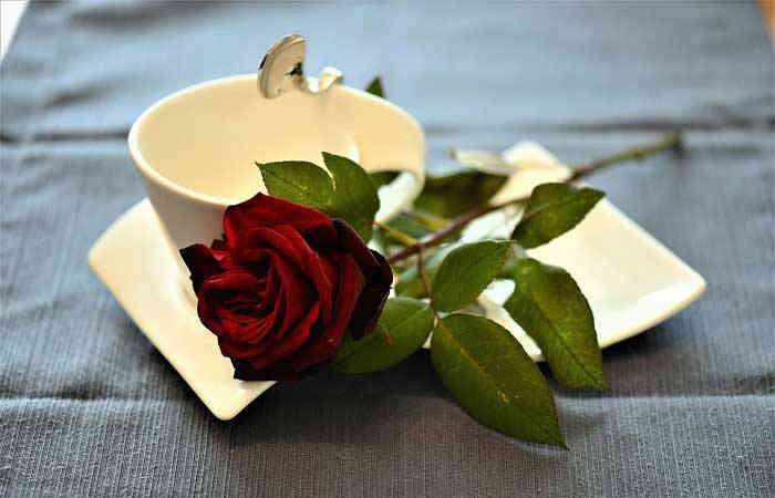 Valentine's Day 2021: 7 ફેબ્રુઆરીએ રોઝ ડે મનાવવામાં આવે છે
