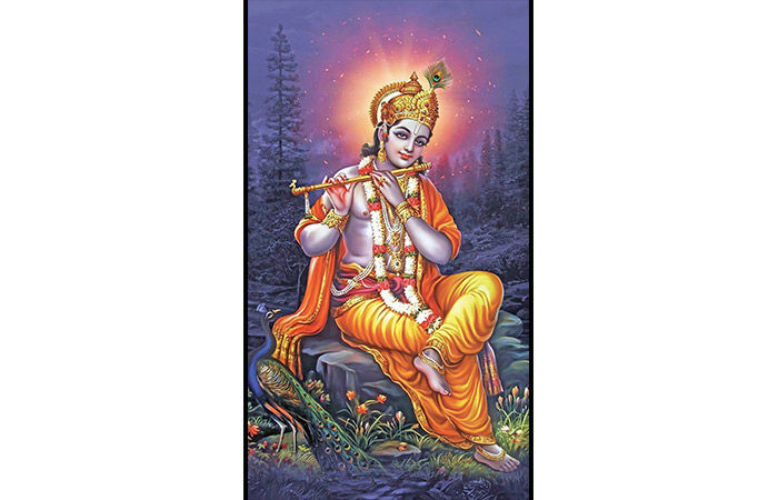 'સૂર્ય-ચંદ્રમાં પ્રકાશ હું છું'                                    .