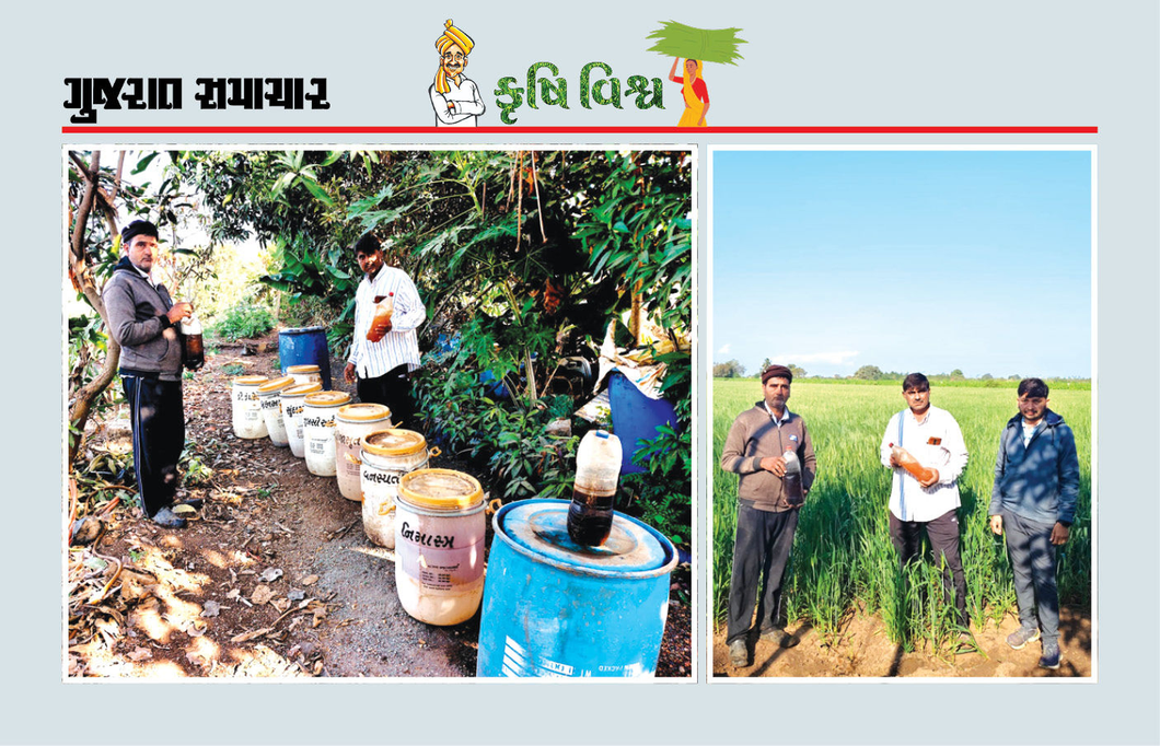 કૃષિવિજ્ઞાન અપનાવ્યું, ખેતીખર્ચ ઘટ્યો, ઉત્પાદન વધ્યું