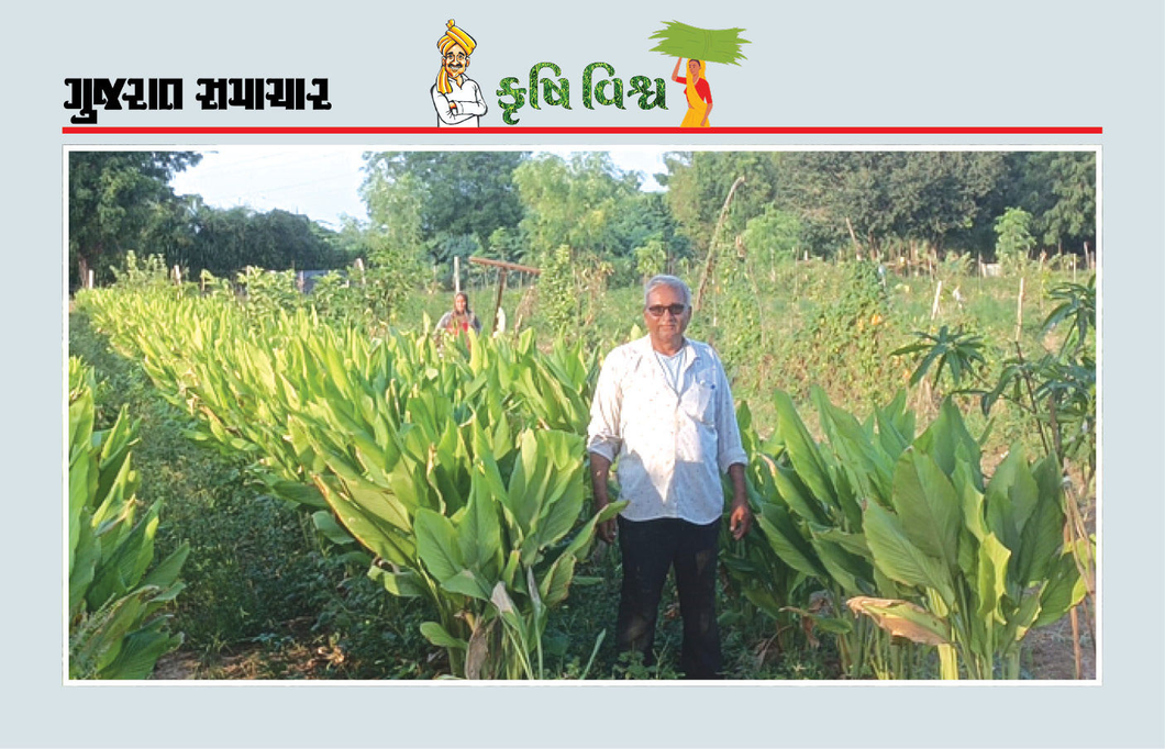 ખેતીમાં રાસાયણિક દવા-ખાતરનો ખર્ચ પ્રતિ વીઘે રૂ.15,000થી ઘટાડી રૂ.2,600 કર્યો