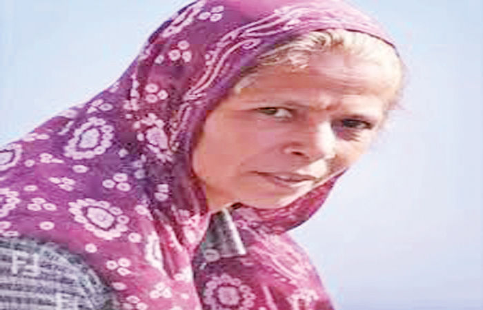 મધમાખીનો મુકાબલો કરી વ્હાલું કર્યું મોત