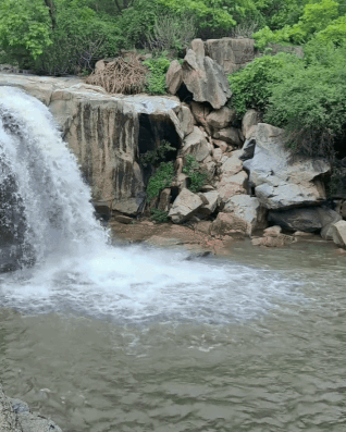 હવે બનાસકાંઠાના પાણિયારી ધોધની મજા નહીં માણી શકાય! તંત્રએ મૂક્યો પ્રતિબંધ