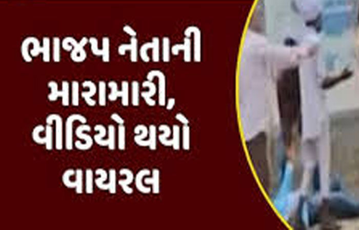 ભાજપની ચૂંટણી સભામાં પ્રશ્ન પૂછનાર ગ્રામજનને સાંસદની સામે જ માર માર્યો