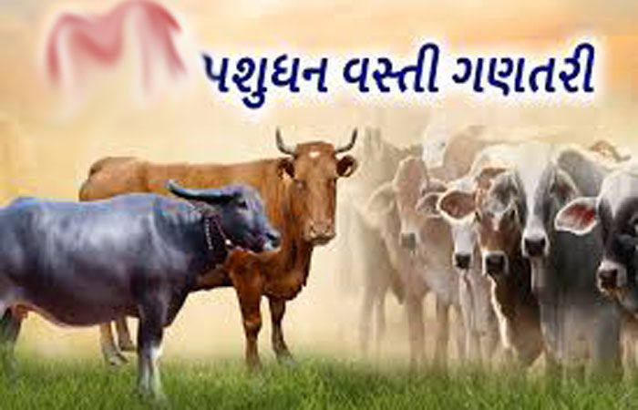 છેલ્લી પશુ વસ્તી ગણતરી પ્રમાણે જિલલાના તળાજા તાલુકામાં હાઇએસ્ટ 1.78 લાખ પશુઓ