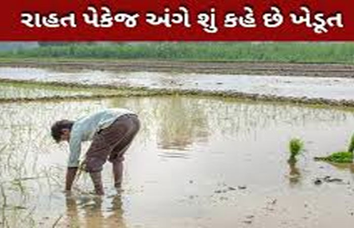 સૌરાષ્ટ્ર-કચ્છમાં 16.71 લાખ ખેડૂતોની નોંધણી, અનેક અરજીમાં ક્ષતિ-ગોટાળા