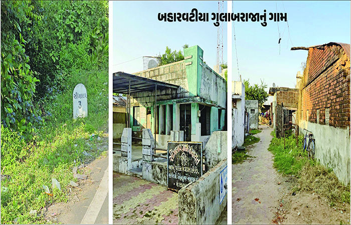 વલ્લભભાઈ બહારવટિયાના વકીલ બન્યા