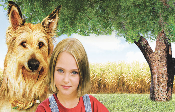 How One Stray Dog Changed Everything