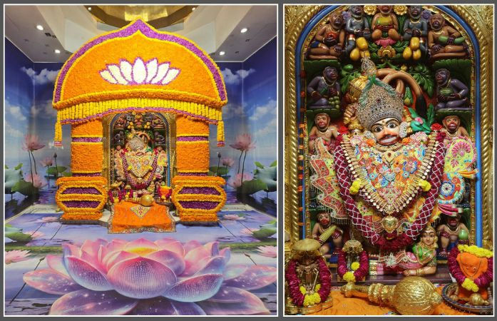 શરદ પૂનમ: સાળંગપુરમાં કષ્ટભંજન દાદાએ ડાયમંડના મુકુટમાં આપ્યા દર્શન, 200 કિલો ફૂલનો શણગાર