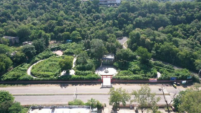 Dumping site transformed into Miyawaki forest in Gandhinagar