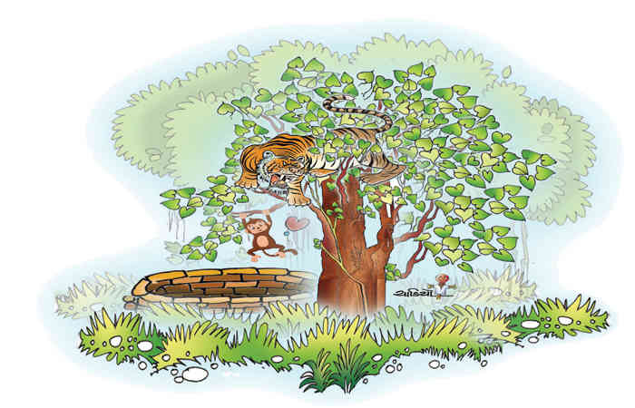 બચુડિયાનો બુરો અંજામ