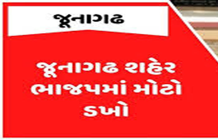 વ્હોટ્સએપમાં MLA વિરોધી ટિપ્પણી કરનાર ભાજપના જ કાર્યકરો પર હુમલો