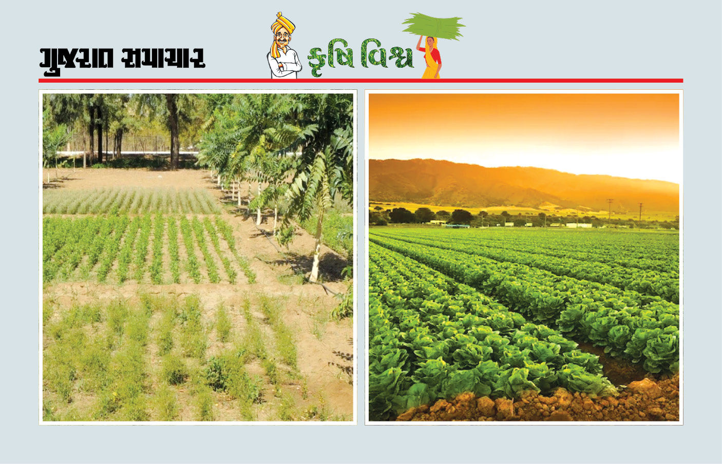 ઉપયોગ કરતા આવડે તો તપતા સૂરજનો તડકો ખેતીમાં અનેક લાભ કરાવે