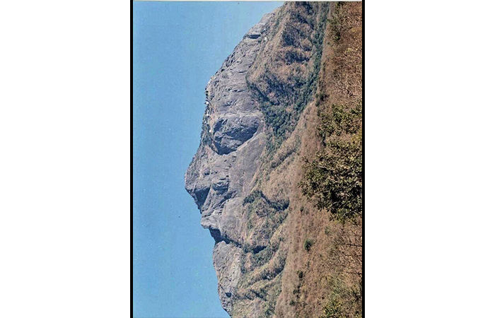 ગિરનારનાં જંગલમાં એક રહસ્યમય રાત!                        .