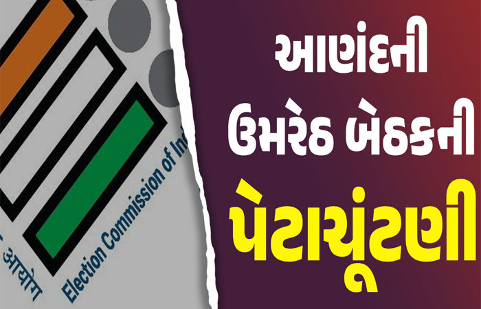 ભાજપનું કોકડું ગૂંચવાયું : ઉમરેઠમાં ૭થી વધુ દાવેદારો મેદાનમાં, અસંતોષીઓ અપક્ષ લડવાની તૈયારીમાં