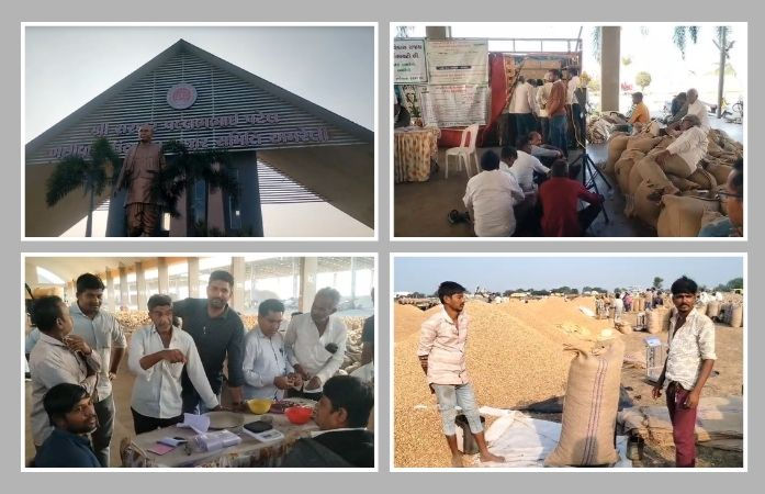 અમરેલી માર્કેટ યાર્ડમાં જગતનો તાત હેરાન-પરેશાન, મગફળી વેચવા આવેલા ખેડૂતોને કલાકો સુધી ઊભા રહેવા મજબૂર