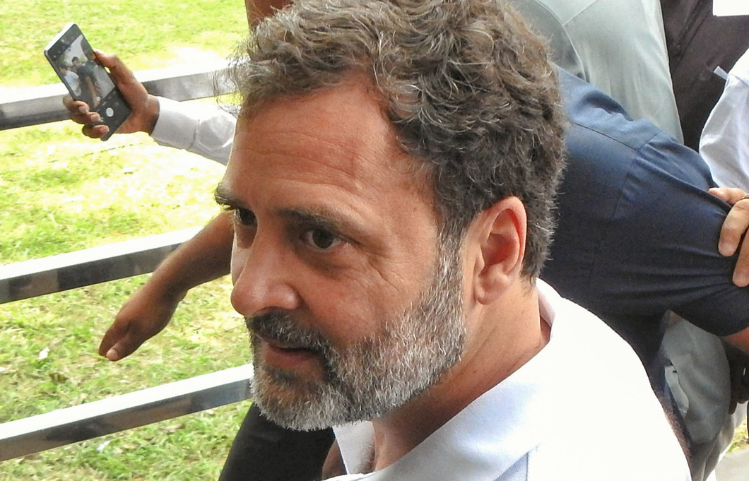 A step back from decades of humane, science-backed policy: LoP Rahul Gandhi on SC order to remove all stray dogs