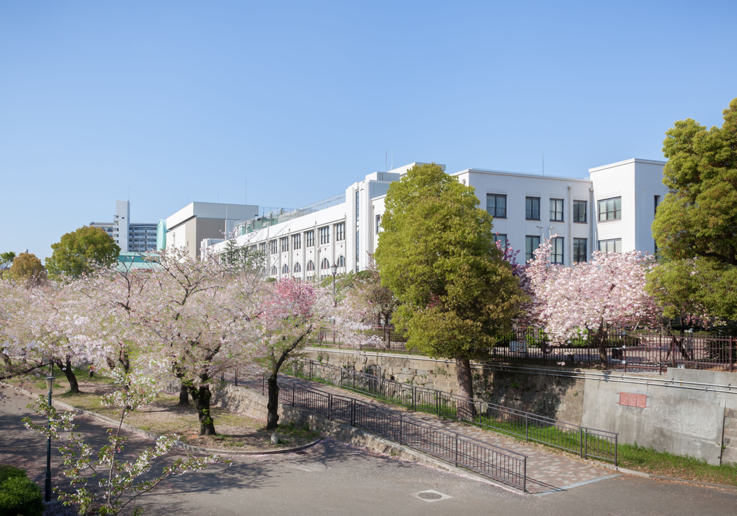 Want to go back to school life? You can experience school life for ₹17,000 in Japan