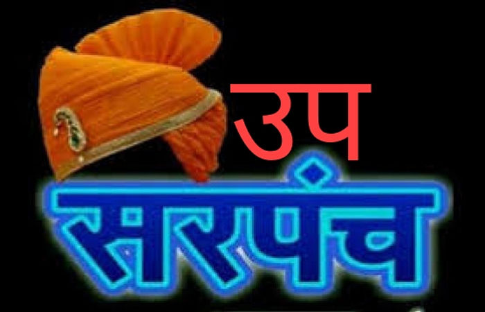 આણંદ જિલ્લાની 66 ગ્રામ પંચાયતોના ડેપ્યુટી સરપંચોની ચૂંટણી પૂર્ણ