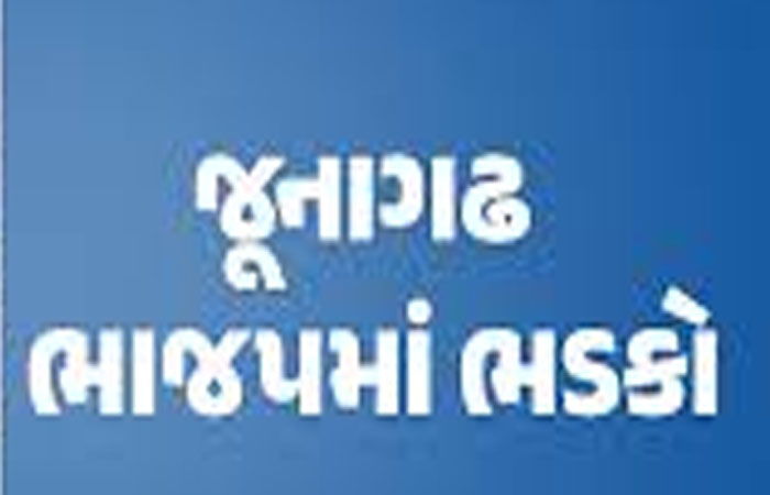 જૂનાગઢ ભા.જ.પ.માં 'યાદવાસ્થળી'! આક્ષેપબાજીનો મુદ્દો પ્રદેશમાં પહોંચ્યો