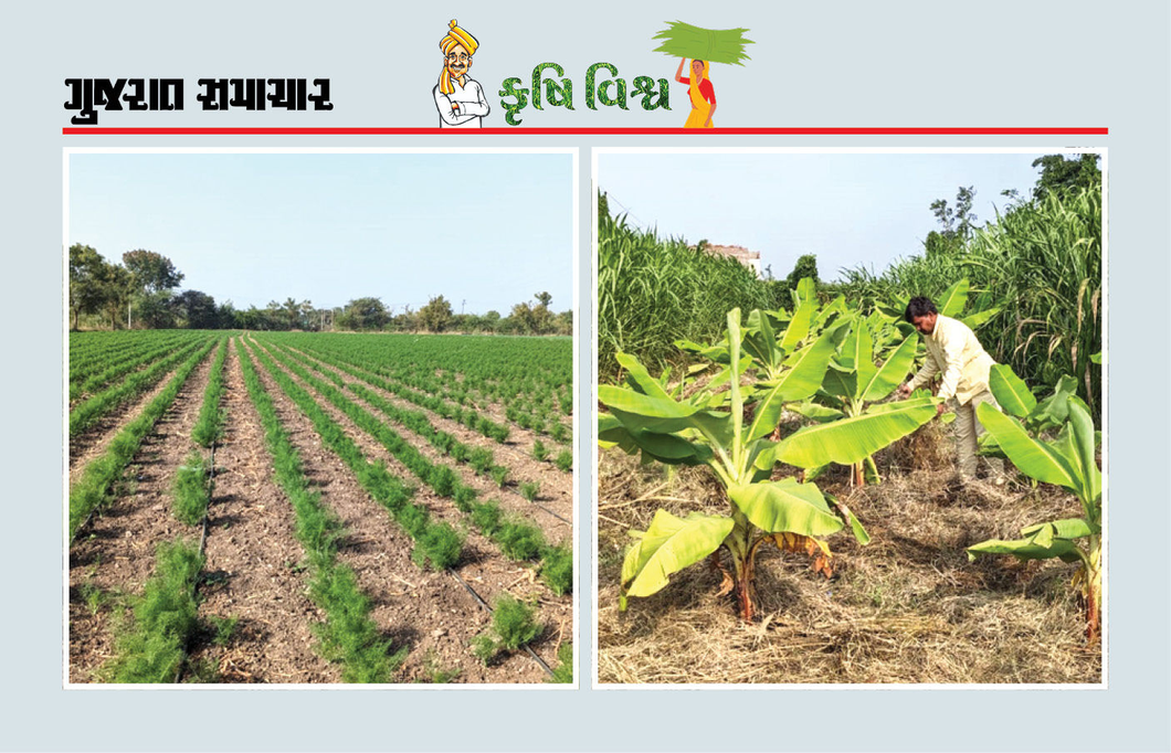 હિંમત અને દ્રઢ સંકલ્પ હોય તો પ્રાકૃતિક ખેતી માત્ર સપનું નહીં, પરંતુ સફળતાનો માર્ગ છે