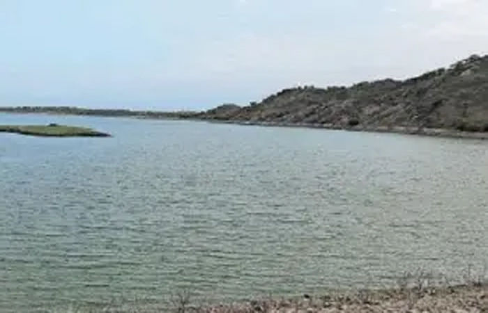 માનસિક બીમારીથી પીડિત મહિલાનો ગૌતમેશ્વર તળાવમાં પડતું મૂકી આપઘાત
