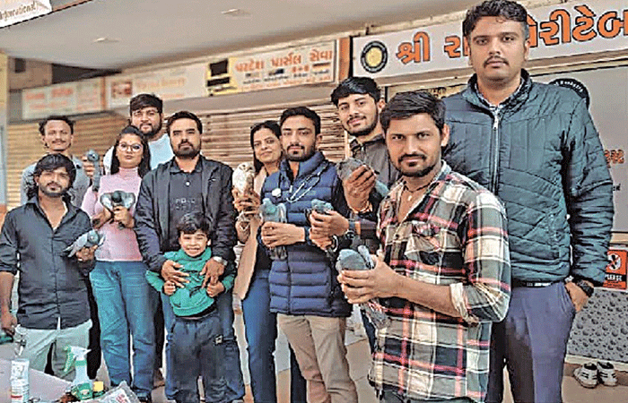 દોરીથી ઘાયલ ૧૨૪ કબુતર, ૪ સમડી,ત્રણ ચામાચિડીયા,બે શાહુડી,એક મોરને રેસ્ક્યૂ