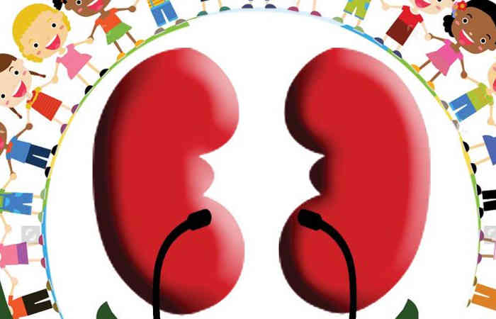 બાળકને કીડનીના રોગો થાય ?